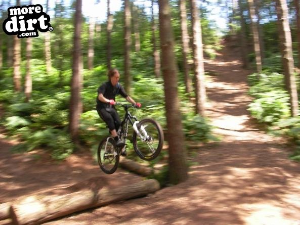 Delamere Forest Mountain Bike Trails
