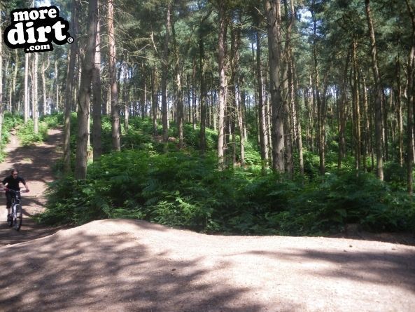Delamere Forest Mountain Bike Trails