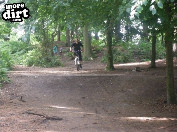 Delamere Forest Mountain Bike Trails