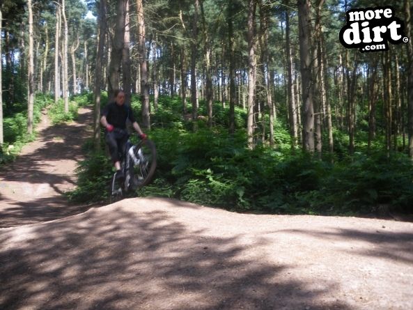 Delamere Forest Mountain Bike Trails