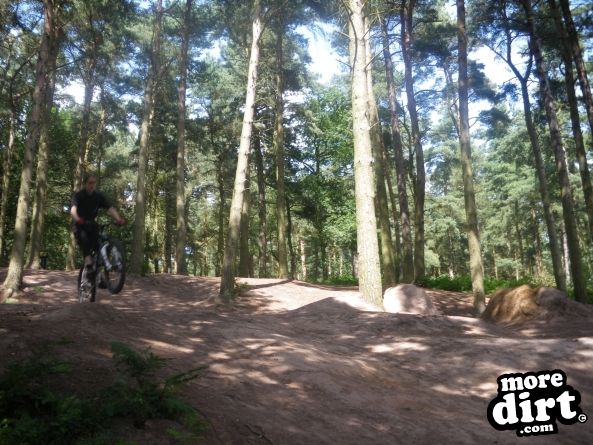 Delamere Forest Mountain Bike Trails