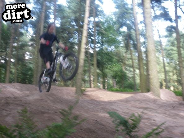 Delamere Forest Mountain Bike Trails