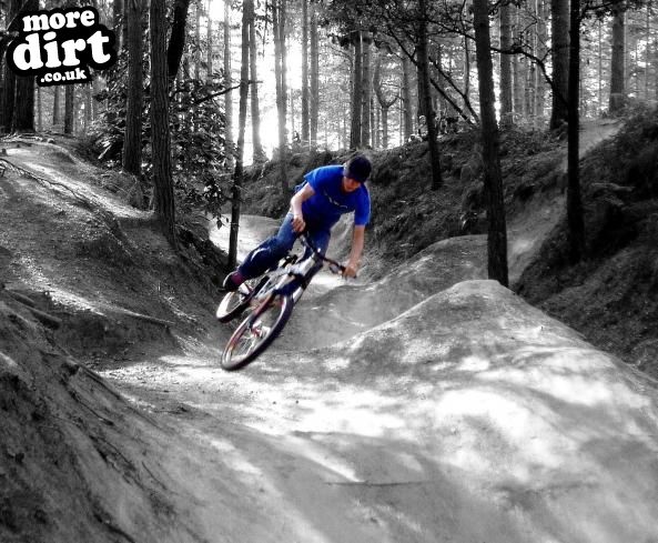 Swinley Forest Mountain Bike Centre