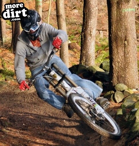 Norwood Edge Trail - Stainburn Forest