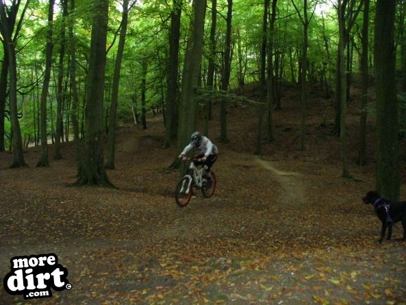 Leckhampton Hill Trails