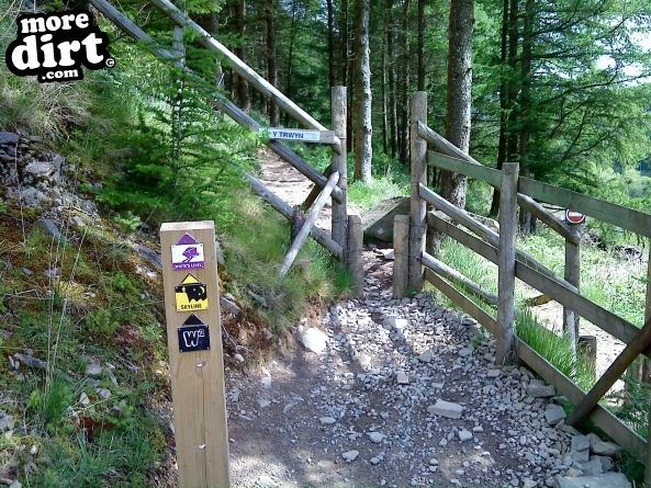 Whites Level Trail - Afan Forest
