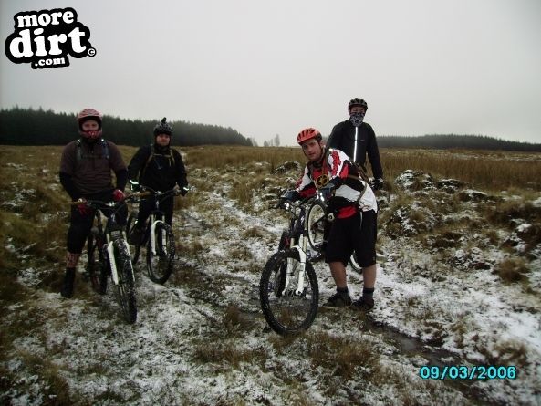 Penhydd Trail -  Afan Forest