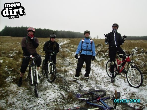 Penhydd Trail -  Afan Forest