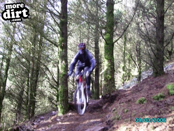 Penhydd Trail -  Afan Forest