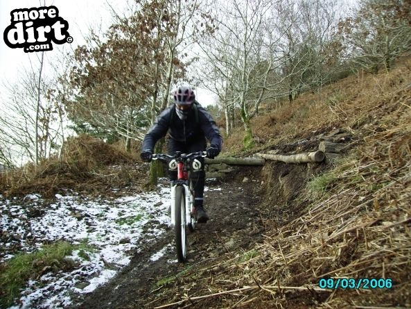 Penhydd Trail -  Afan Forest