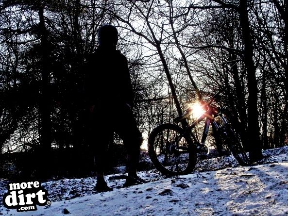 Leckhampton Hill Trails