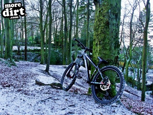 Leckhampton Hill Trails