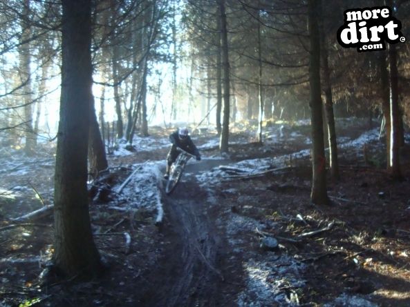 Ribbesford Bike Park