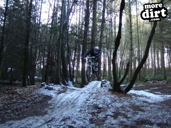 Ribbesford Bike Park