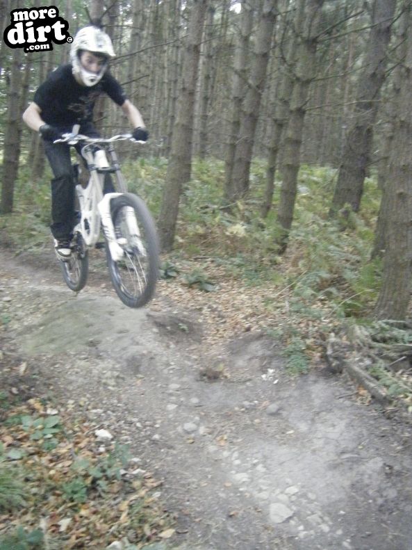 Descent Line Trail - Stainburn Forest