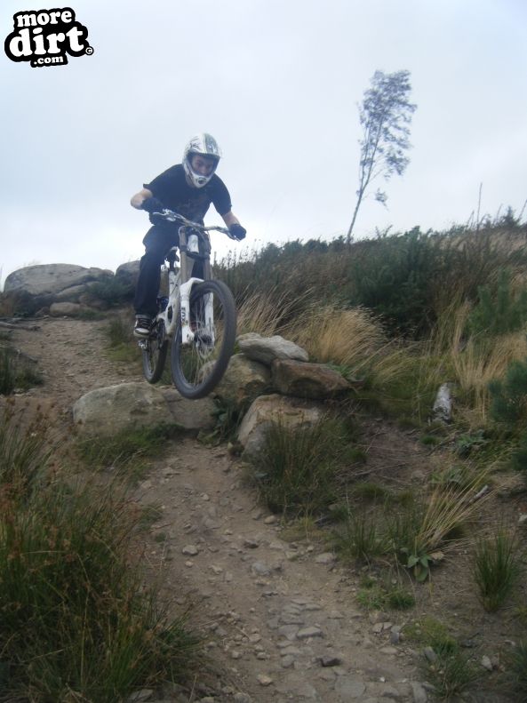 Descent Line Trail - Stainburn Forest