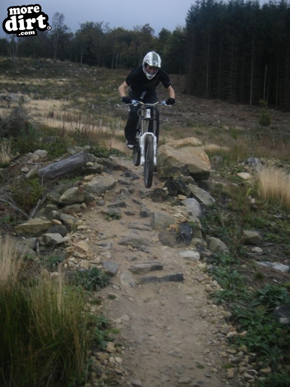Descent Line Trail - Stainburn Forest