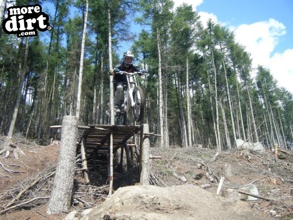 Descent Line Trail - Stainburn Forest