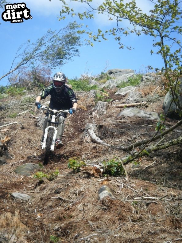 Descent Line Trail - Stainburn Forest