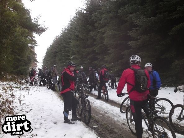 Dalby Forest Red Trail