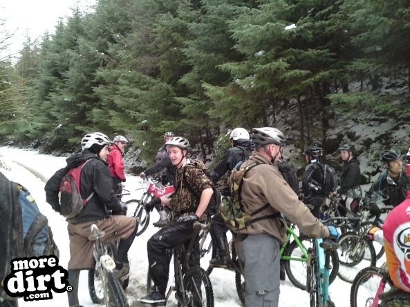 Dalby Forest Red Trail