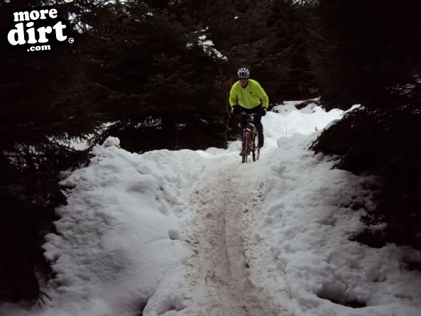Gisburn Forest Mountain Bike Trails