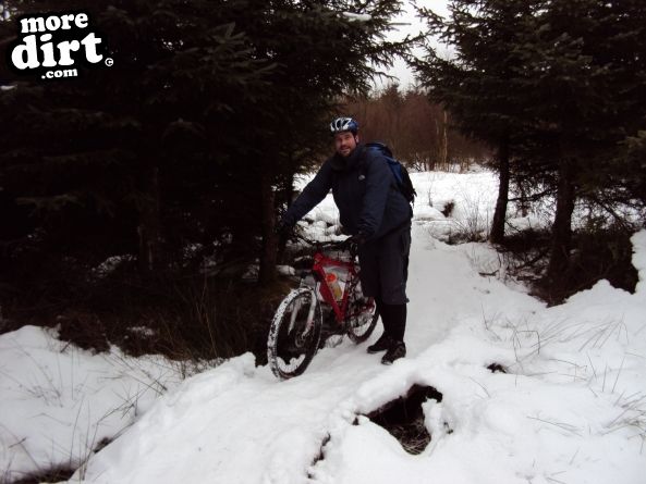 Gisburn Forest Mountain Bike Trails