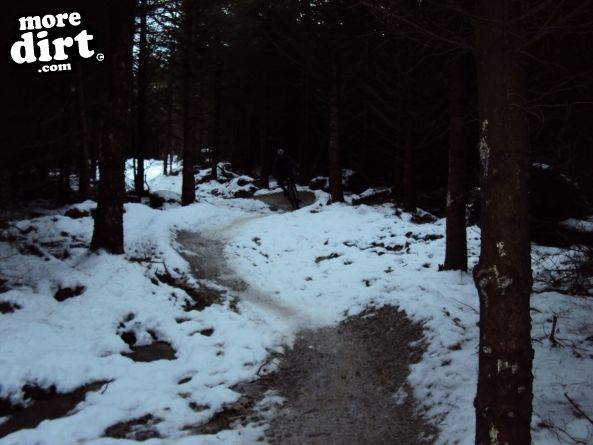 Gisburn Forest Mountain Bike Trails