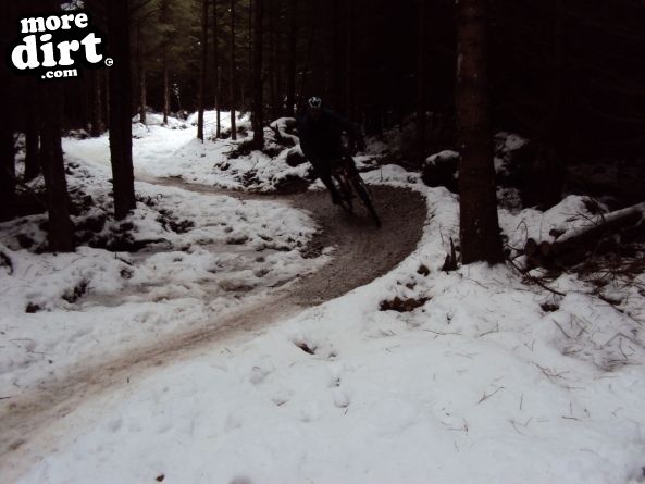 Gisburn Forest Mountain Bike Trails