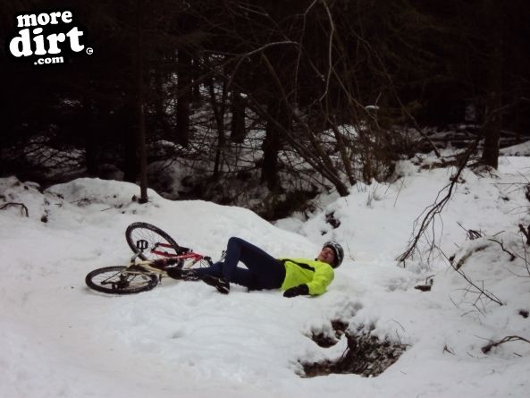 Gisburn Forest Mountain Bike Trails