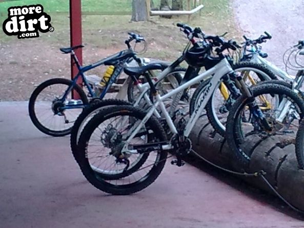 Follow the Dog Trail - Cannock Chase