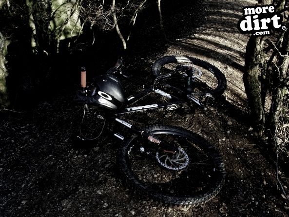 Leckhampton Hill Trails