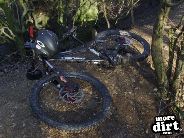 Leckhampton Hill Trails