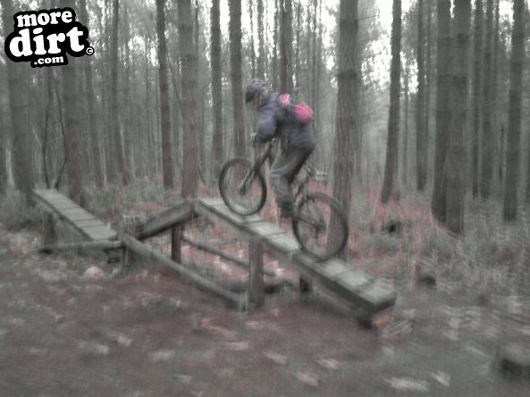 Bedgebury Freeride Area