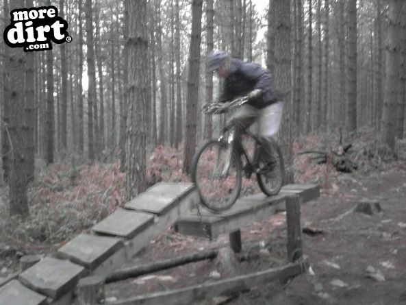 Bedgebury Freeride Area