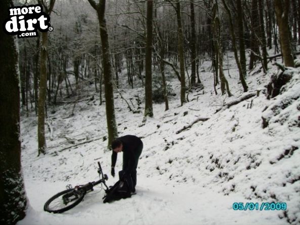 Raven Trail - Brechfa