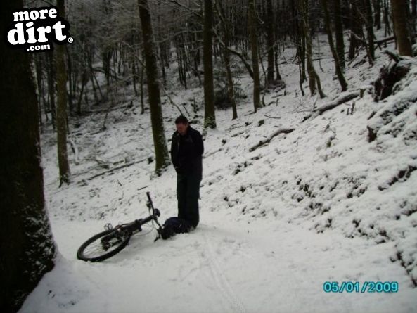 Raven Trail - Brechfa