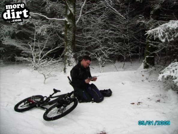 Raven Trail - Brechfa