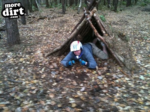 Delamere Forest Mountain Bike Trails