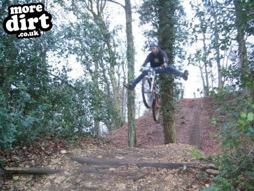 Downhill Trails - Forest of Dean