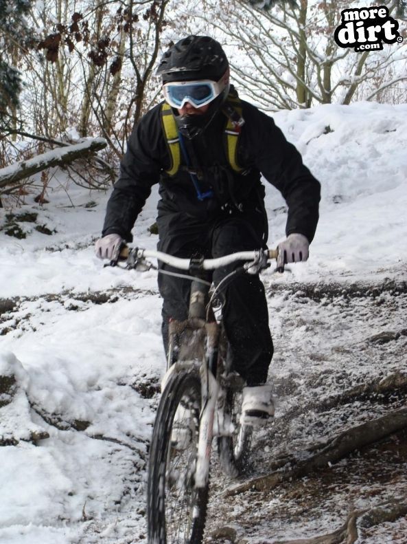 Wharncliffe Woods - DH Trails