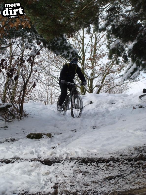 Wharncliffe Woods - DH Trails