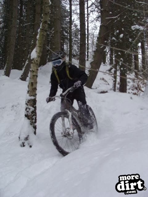 Wharncliffe Woods - DH Trails