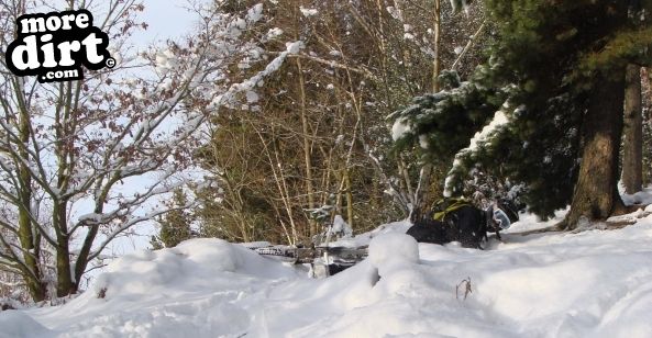 Wharncliffe Woods - DH Trails