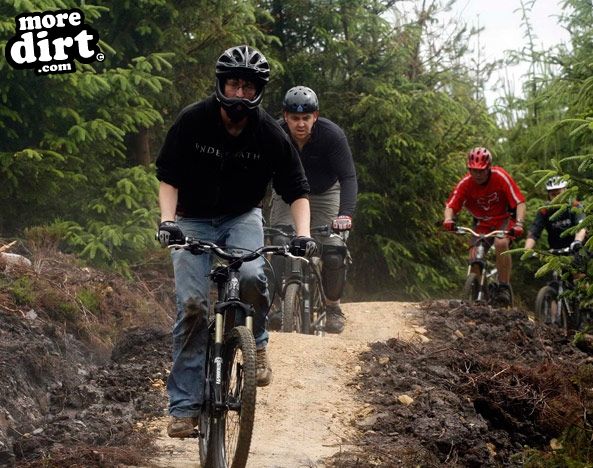 Deadwater Trail - Kielder Forest