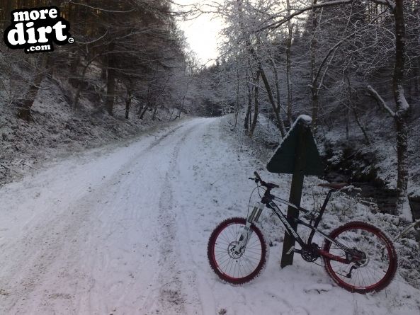 Penhydd Trail -  Afan Forest