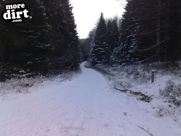 Penhydd Trail -  Afan Forest