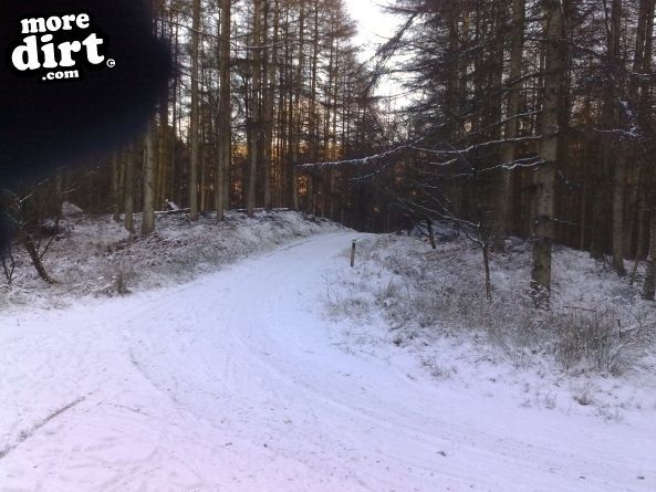 Penhydd Trail -  Afan Forest
