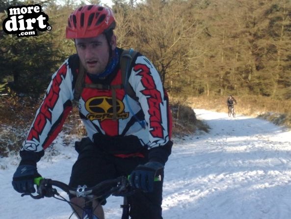 Penhydd Trail -  Afan Forest