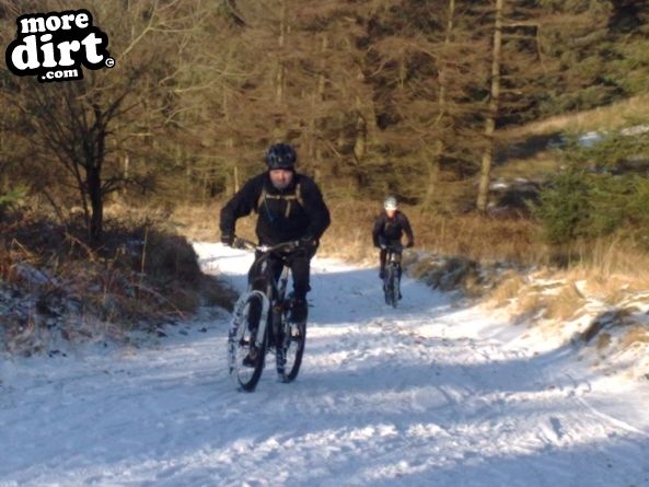 Penhydd Trail -  Afan Forest